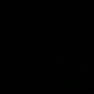 Meet your Posher, Benjamin